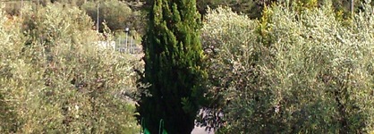 Hotel Rural Familiar Almirez-Alpujarra