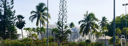 La Cocoteraie