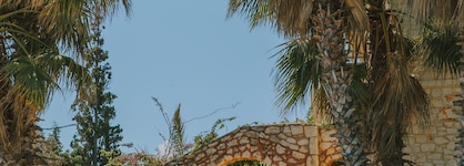 Creta Vitalis