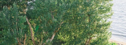 Hotel Tzaki