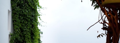 Antonina Hotel Apartments