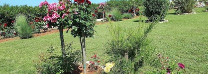 Villa Rosetta
