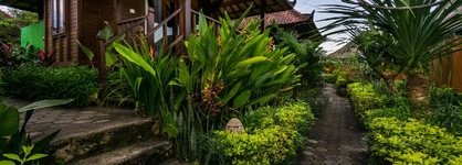 Laguna Reef Huts