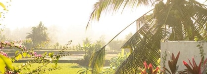 Ubud Padi Villas