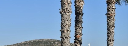 Astir Of Paros