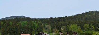 Wellness- Und Vitalhotel Böhmhof