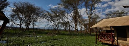 Kiboko Luxury Camp