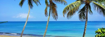 Tres Palmas Inn
