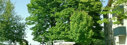 Park Hotel Fantoni