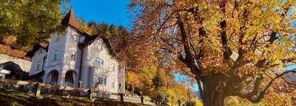 Adora Luxury Hotel (Ex Vila Istra)