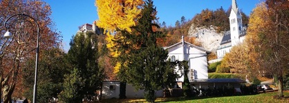 Vila Prešeren