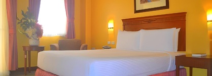 Hotel Elizabeth Baguio