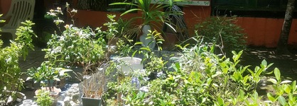 Dona Marta Boutique Hotel