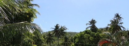 Badladz Beach And Dive Resort