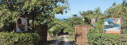 Cashew Grove Beach Resort