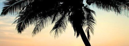 Time N Tide Beach Resort