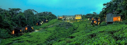 The Rainforest Ecolodge
