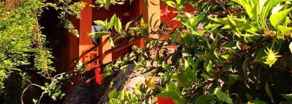 Eva Lanka Hotel