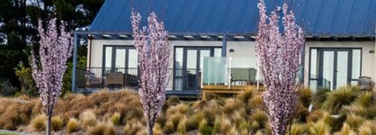 Websters On Wanaka Lodge