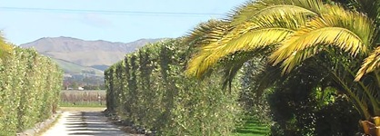 Antria Boutique Lodge