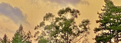 Acacia Cliffs Lodge