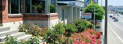Blue Dolphin Motel