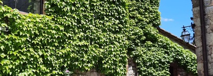 Borgo Livernano
