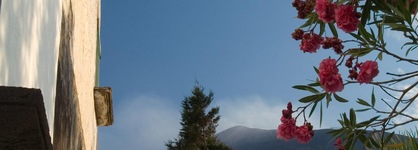 Scilla E Cariddi Bed&Breakfast