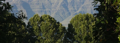 Ardmore Guest Farm