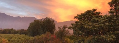 Palmiet Valley Estate