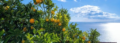Locanda Degli Agrumi
