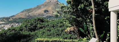 Lion's View