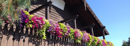 Linderhof Inn