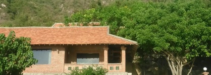 Wild Beach Resort & Spa