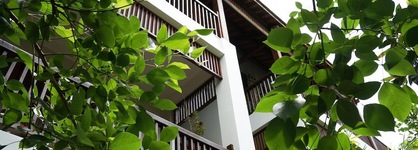 Hoi An Chic Green Retreat