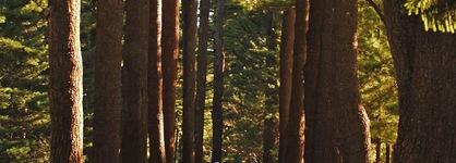 Gideon Putnam Resort And Spa
