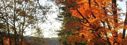 Whistler's Inn Bed & Breakfast