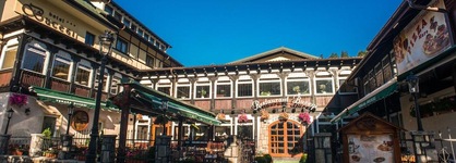 Hotel Bucegi