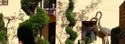 B&B Maksimilian