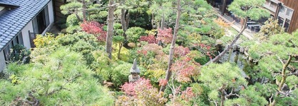 Haiya