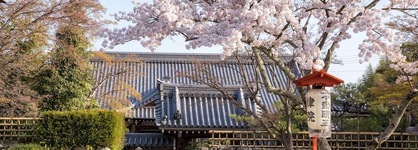 L'hotel De Hiei