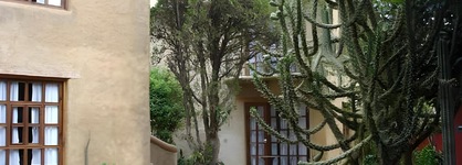Guayaba Inn