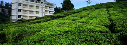 Monsoon Grande