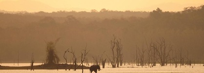 Evolve Back, Kabini