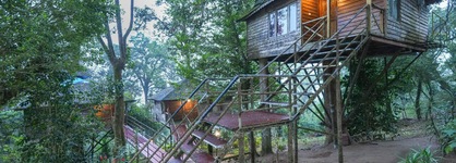 Nature Zone Jungle Resort