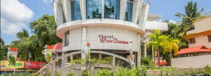 White Dammar International