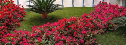 Aegean Blue Beach Hotel