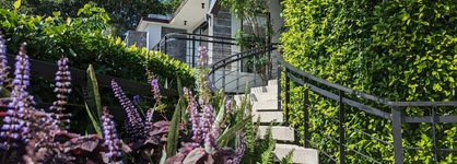 Villa Moonshadow