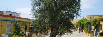 Racar Hotel & Resort