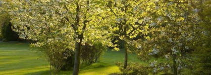 St Pierre Park Hotel & Golf
